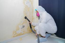 Why You Should Choose Our Mold Remediation Services in Potomac Park, CA